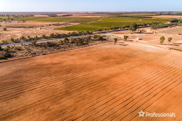 Third view of Homely rural property listing, Lot/42 Sturt Highway, Trentham Cliffs NSW 2738