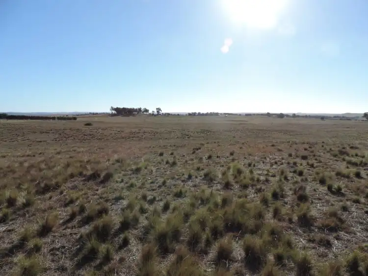 Lot 142 187 Woodhouselee Road, Goulburn NSW 2580