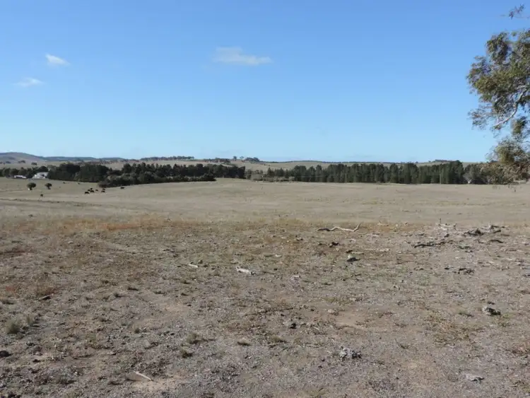Lot 79 239 Woodhouselee Road, Goulburn NSW 2580