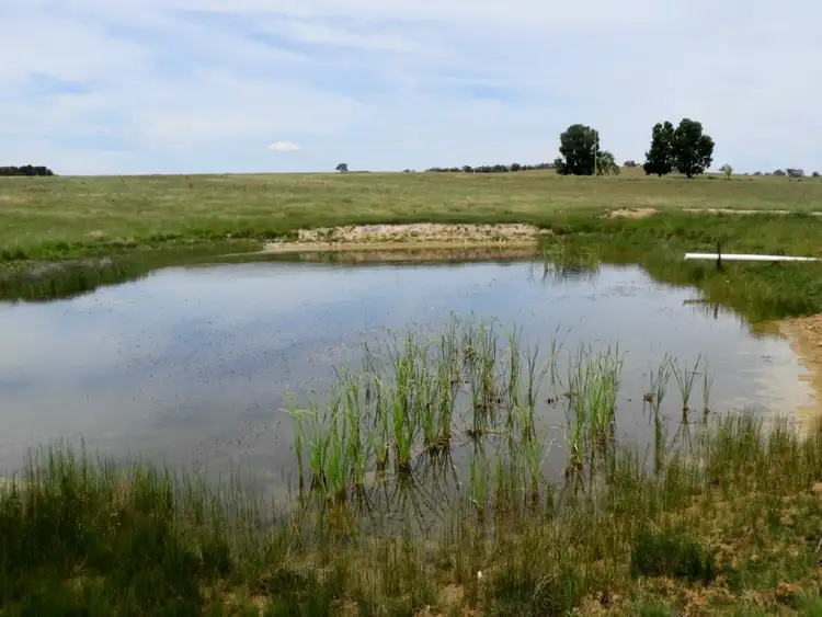 Fifth view of Homely rural property listing, Ashwell Homestead 3276 Gurrundah Road, Gurrundah NSW 2581