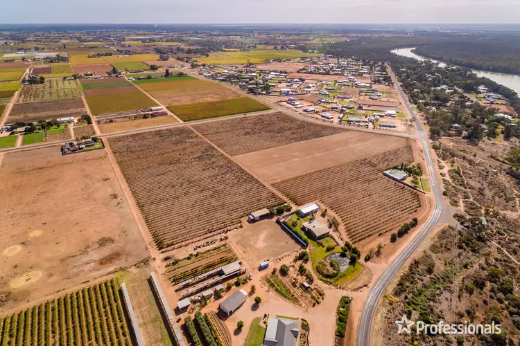 Third view of Homely rural property listing, Lot 2/818 Cureton Avenue, Irymple VIC 3498
