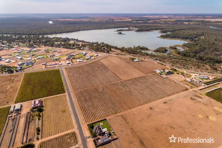 Fifth view of Homely rural property listing, Lot 2/818 Cureton Avenue, Irymple VIC 3498
