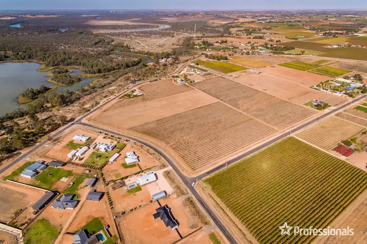 Sixth view of Homely rural property listing, Lot 2/818 Cureton Avenue, Irymple VIC 3498