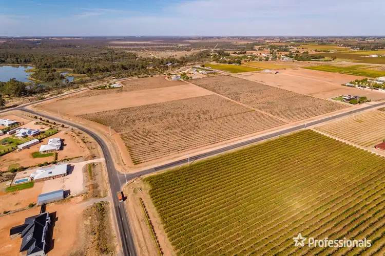 Seventh view of Homely rural property listing, Lot 2/818 Cureton Avenue, Irymple VIC 3498
