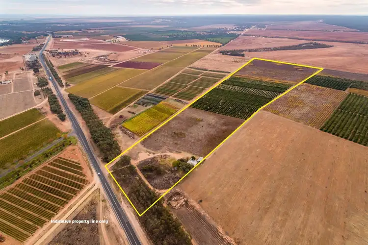 Second view of Homely rural property listing, 6526 Sturt Highway, Trentham Cliffs NSW 2738