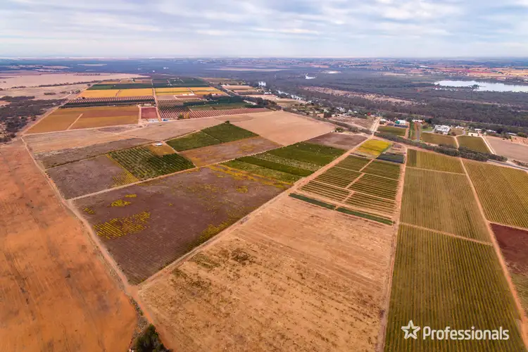 Third view of Homely rural property listing, 6526 Sturt Highway, Trentham Cliffs NSW 2738