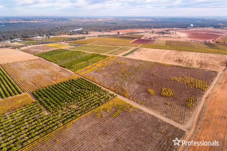 Fourth view of Homely rural property listing, 6526 Sturt Highway, Trentham Cliffs NSW 2738