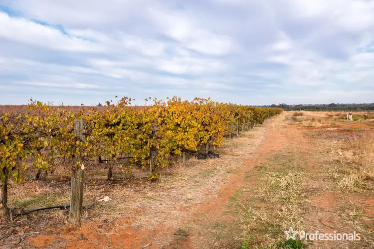 Fifth view of Homely rural property listing, 6526 Sturt Highway, Trentham Cliffs NSW 2738