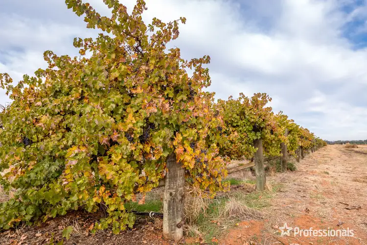 Sixth view of Homely rural property listing, 6526 Sturt Highway, Trentham Cliffs NSW 2738