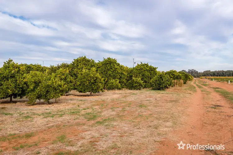Seventh view of Homely rural property listing, 6526 Sturt Highway, Trentham Cliffs NSW 2738