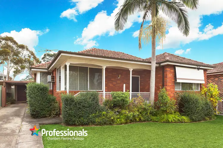17 Bruce Avenue, Panania NSW 2213