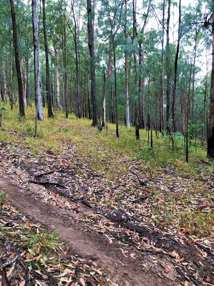 Sixth view of Homely rural property listing, 90 Coppermine Creek Road, Stroud NSW 2425