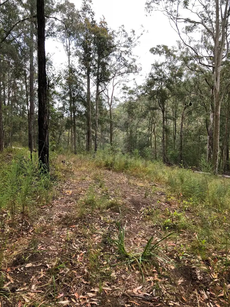 Seventh view of Homely rural property listing, 90 Coppermine Creek Road, Stroud NSW 2425