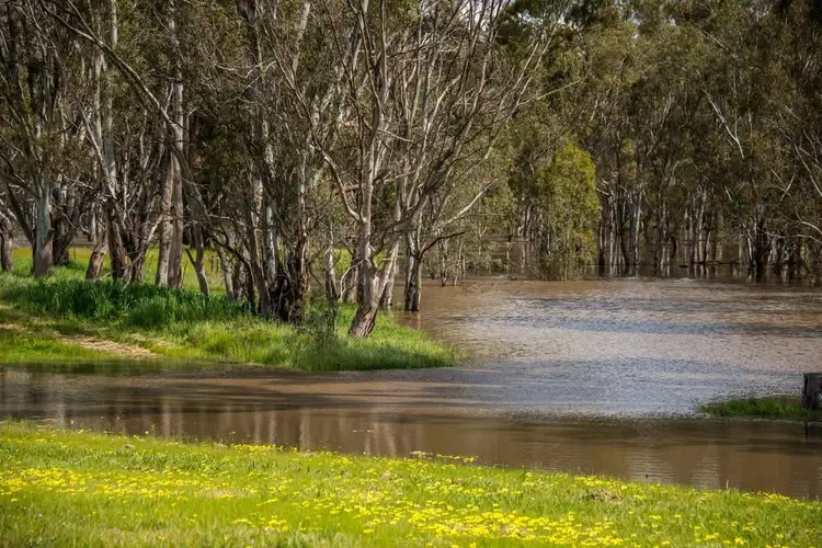 Fifth view of Homely land listing, LOT Lot 609, 9 Silverleaf Road, Kialla VIC 3631