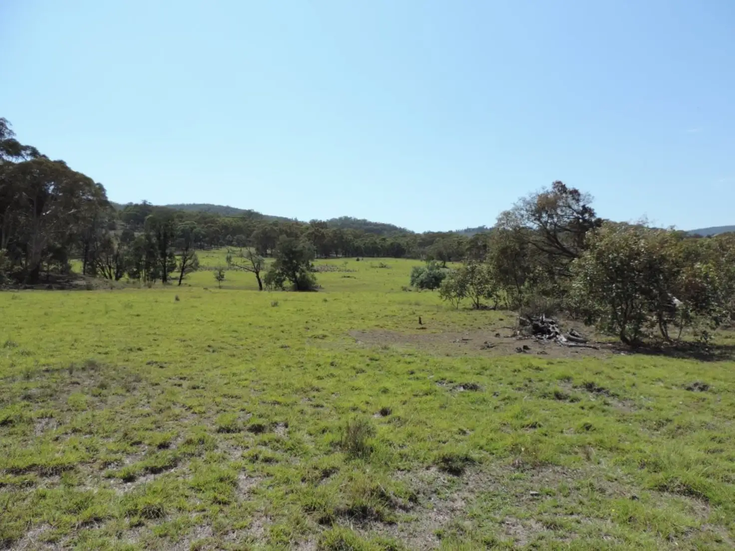Main view of Homely rural property listing, Lot 5 Currawang Road, Currawang NSW 2580