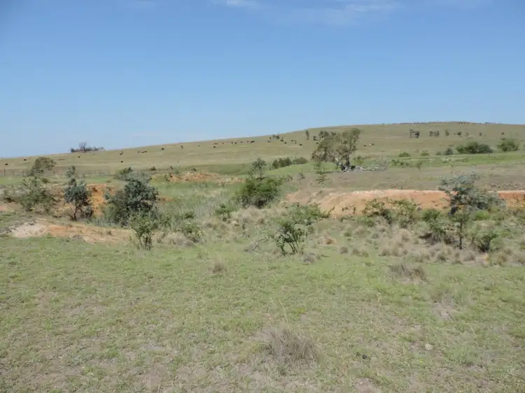 Seventh view of Homely rural property listing, Lot 5 Currawang Road, Currawang NSW 2580