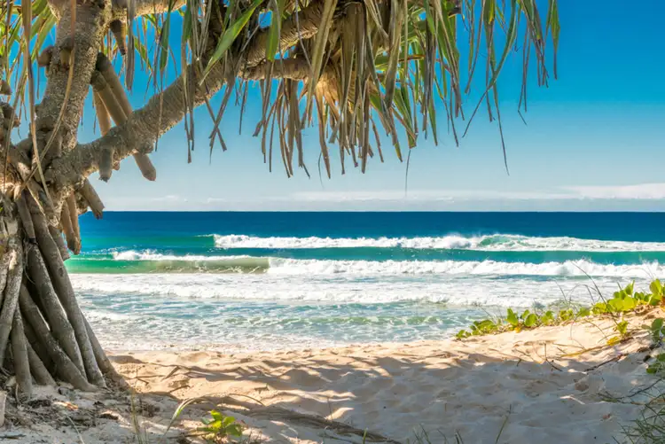 Fifth view of Homely house listing, 6 Gaggin Street, New Brighton NSW 2483