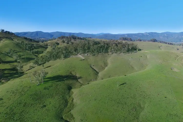 Main view of Homely rural property listing, Lot 101/2249 Monkerai Road, Weismantels NSW 2415