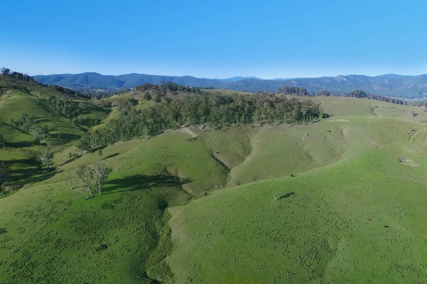 Main view of Homely rural property listing, Lot 101/2249 Monkerai Road, Weismantels NSW 2415