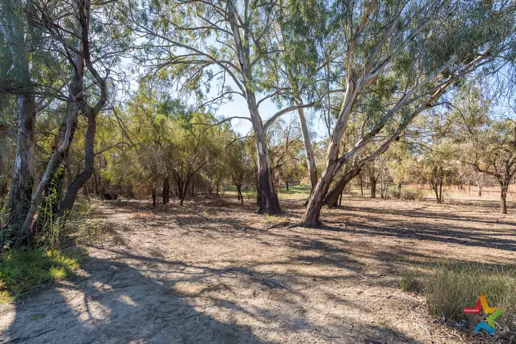 Fourth view of Homely land listing, 16 The Cobb & Co Way, Gol Gol NSW 2738