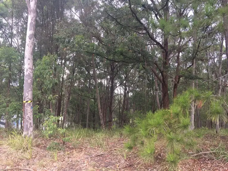 Third view of Homely land listing, 41 Curlew Crescent, Nerong NSW 2423
