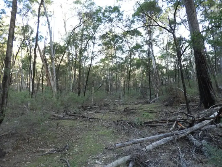 Second view of Homely rural property listing, 69 Sawpit Lane, Bungonia NSW 2580