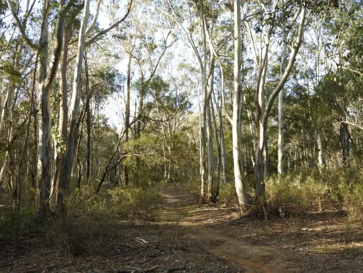 Third view of Homely rural property listing, 69 Sawpit Lane, Bungonia NSW 2580