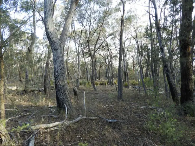 Fifth view of Homely rural property listing, 69 Sawpit Lane, Bungonia NSW 2580
