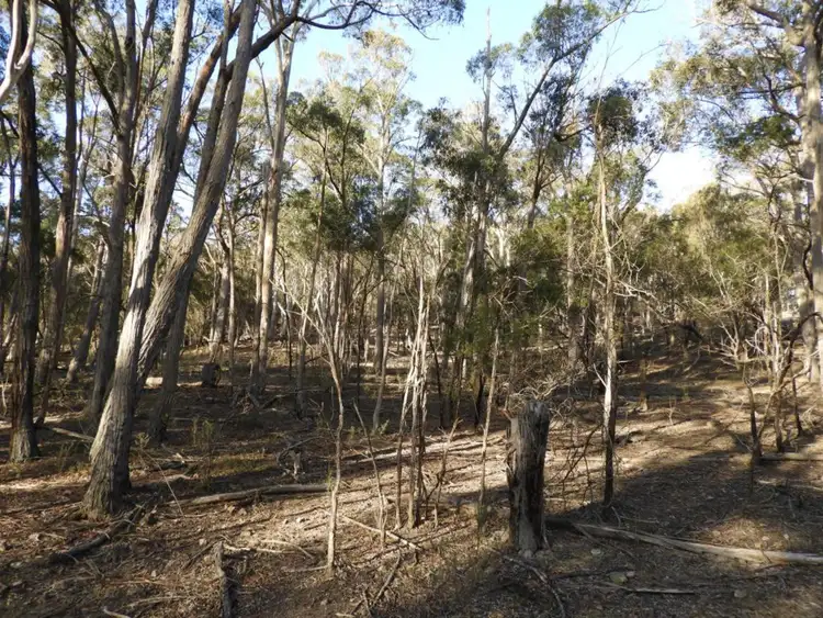 Sixth view of Homely rural property listing, 69 Sawpit Lane, Bungonia NSW 2580