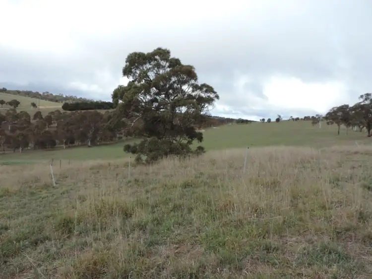 Main view of Homely rural property listing, 40 Povey Place, Breadalbane NSW 2581