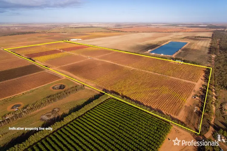 Second view of Homely rural property listing, Lot/10 Treviso Way, Red Cliffs VIC 3496