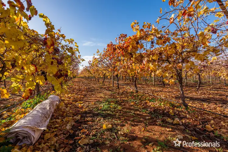 Fourth view of Homely rural property listing, Lot/10 Treviso Way, Red Cliffs VIC 3496
