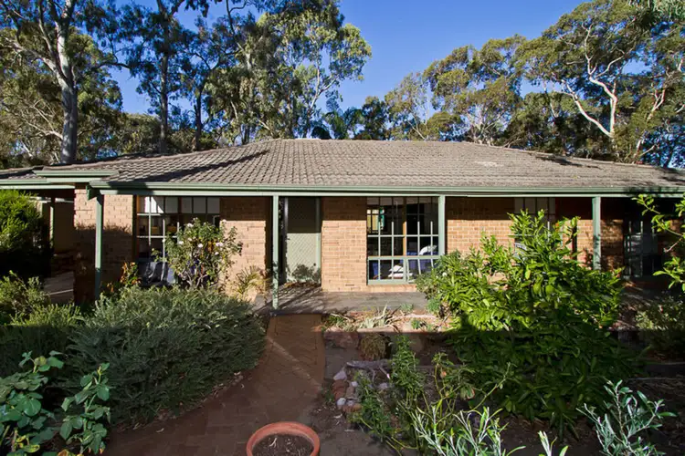 Main view of Homely house listing, 233 Hancock Road, Banksia Park SA 5091