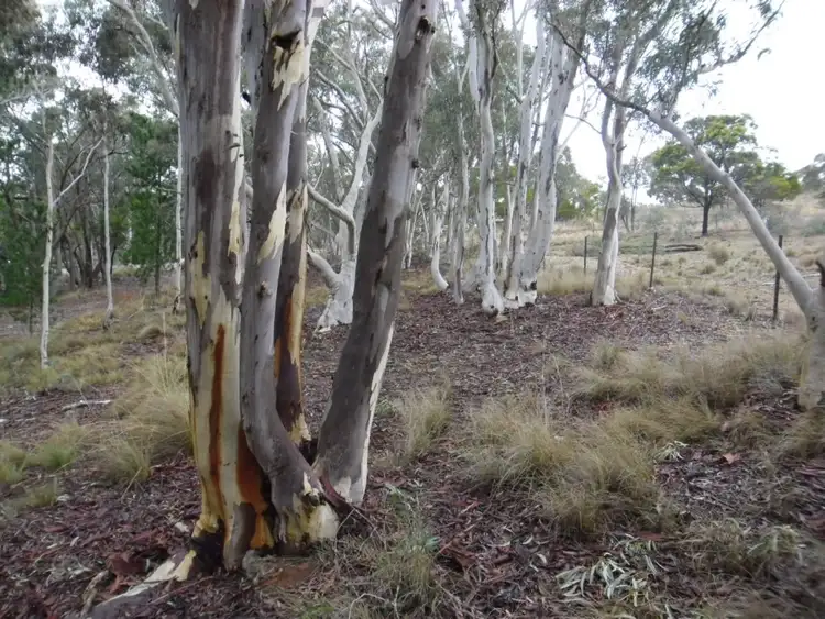 Fifth view of Homely rural property listing, Lots 4 & 5 Middle Arm Road, Goulburn NSW 2580