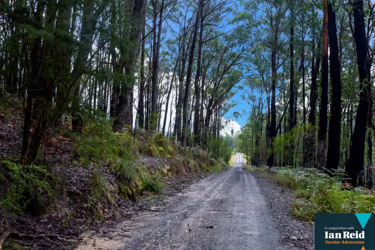 Second view of Homely land listing, 190 Summerhill Road, Launching Place VIC 3139