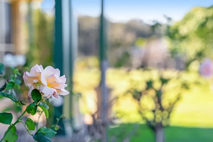 Third view of Homely rural property listing, 208 Fotheringay Road, Clarence Town NSW 2321