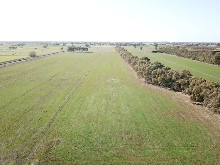 Seventh view of Homely rural property listing, 792 Inverness Road, Invergordon VIC 3636