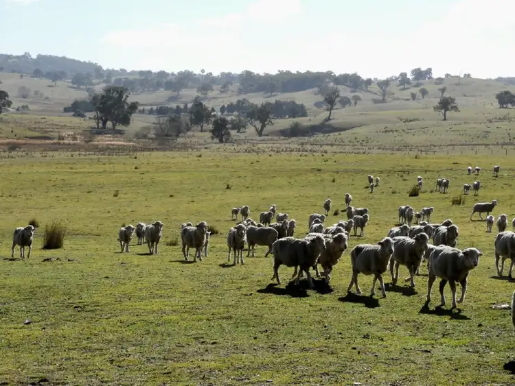 Third view of Homely rural property listing, 36 Cuddyong Road, Binda NSW 2583