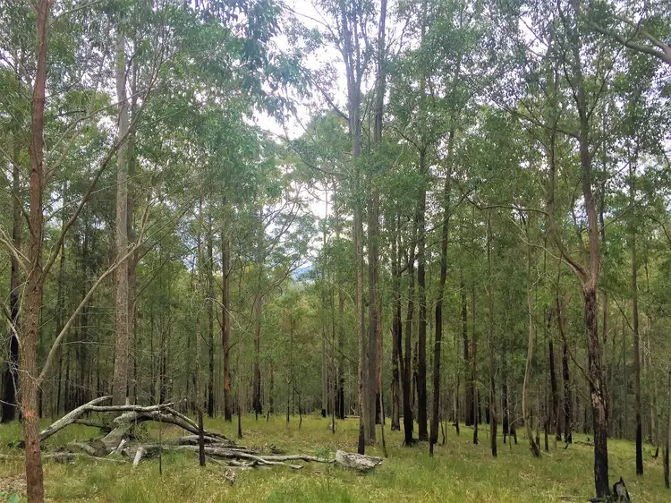 Main view of Homely land listing, 227 Manning Hill Road, Bunyah NSW 2429