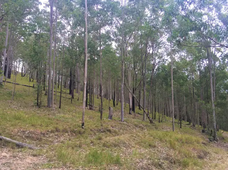 Second view of Homely land listing, 227 Manning Hill Road, Bunyah NSW 2429