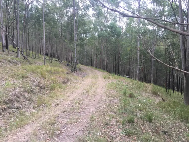Third view of Homely land listing, 227 Manning Hill Road, Bunyah NSW 2429