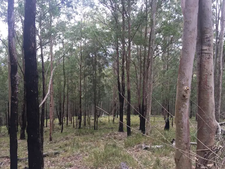 Fourth view of Homely land listing, 227 Manning Hill Road, Bunyah NSW 2429