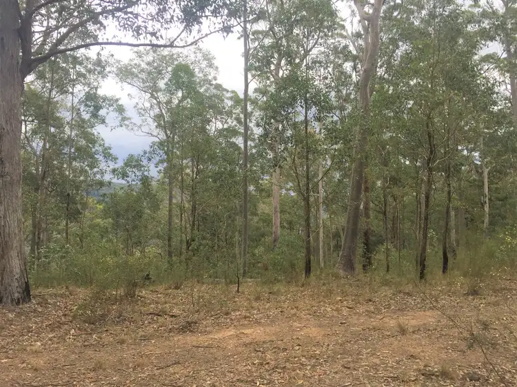 Fifth view of Homely land listing, 227 Manning Hill Road, Bunyah NSW 2429