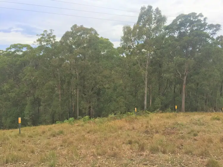 Seventh view of Homely land listing, 227 Manning Hill Road, Bunyah NSW 2429