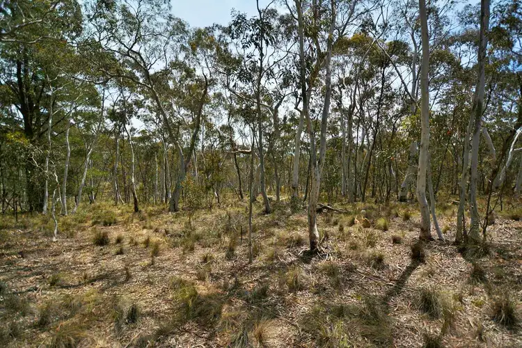 Second view of Homely land listing, 334 Lochaber Road, Capertee NSW 2846
