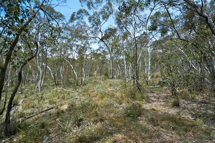 Seventh view of Homely land listing, 334 Lochaber Road, Capertee NSW 2846