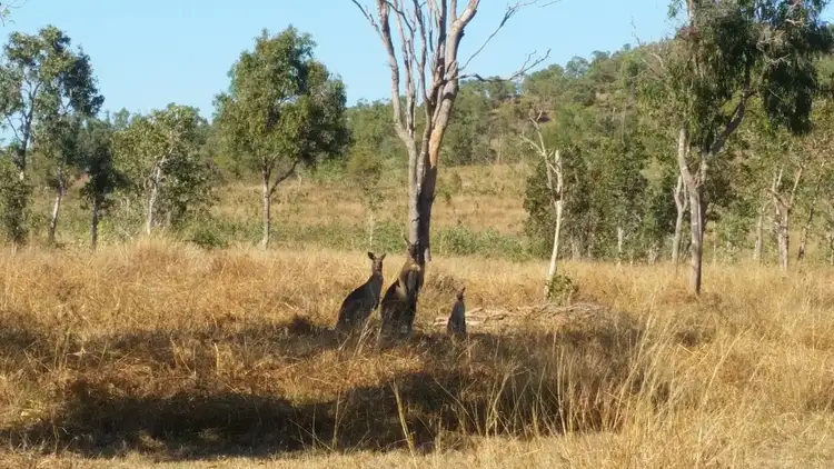 Fourth view of Homely rural property listing, Lot 44- 0 Station Road, Crystal Brook QLD 4800