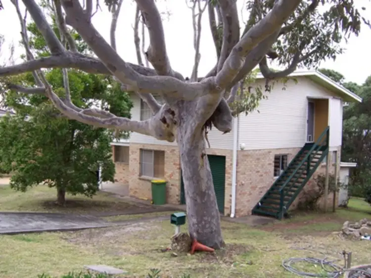 Fifth view of Homely house listing, 20 Becker Road, Forster NSW 2428