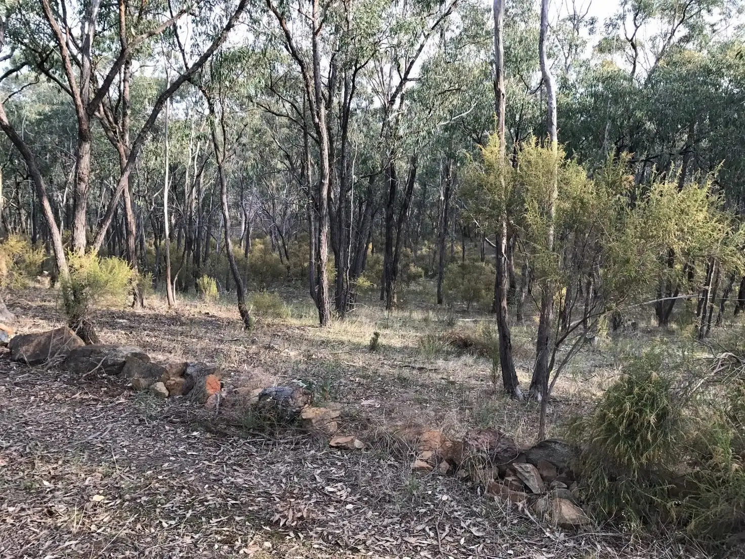 Main view of Homely land listing, 172 Native Gully Crescent, Eppalock VIC 3551