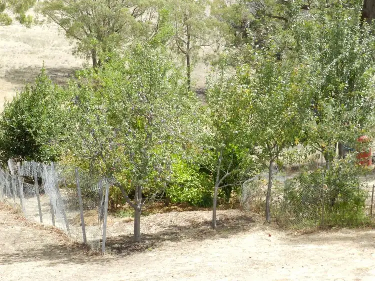 Seventh view of Homely rural property listing, 2139 Bigga Road, Bigga NSW 2583